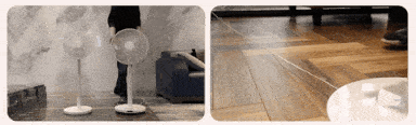 13.gif