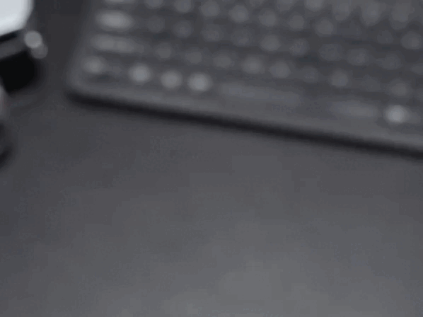 20250329_110129_003.gif