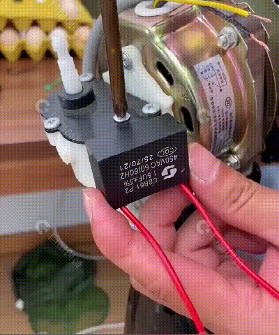 DM_20240710173011_006.gif