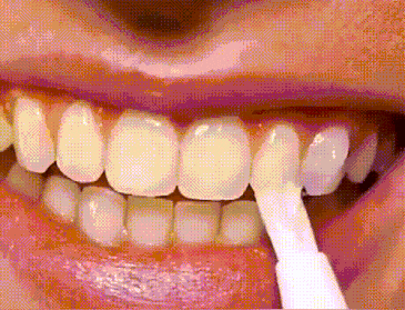 037.gif