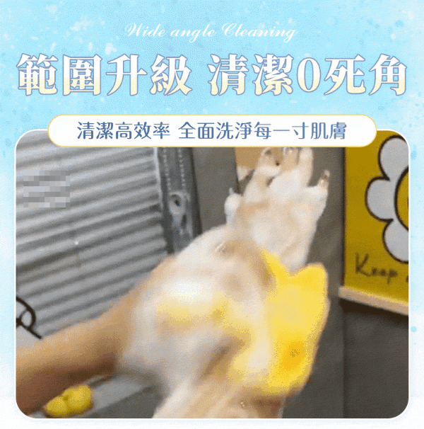 16.gif