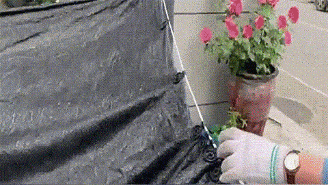 DM_20240911150834_021.gif