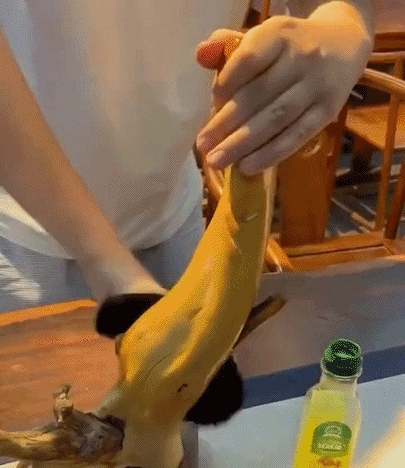 18.gif