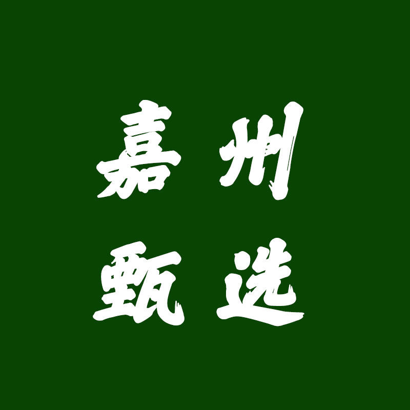 嘉州甄选企业店的LOGO