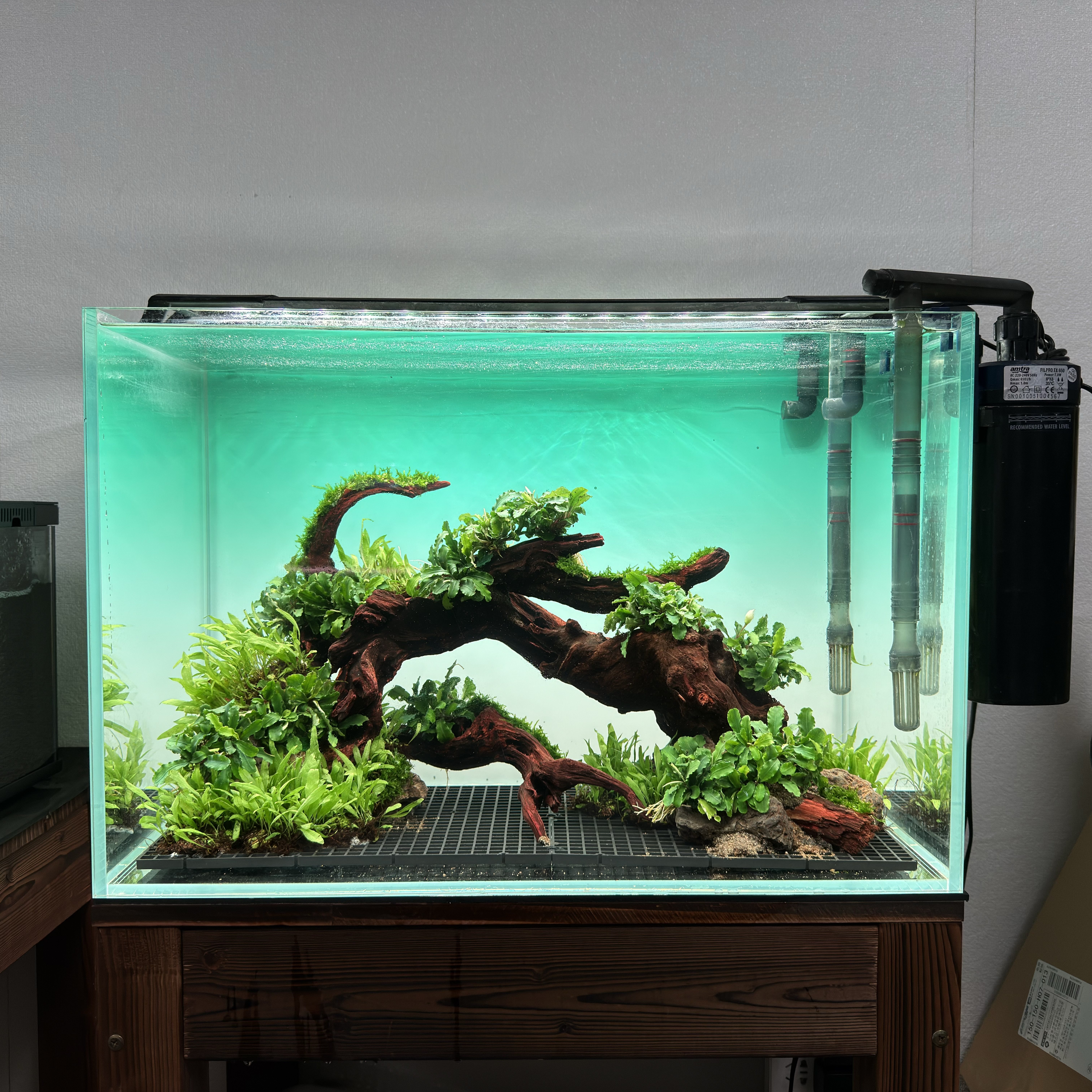 60CM fish tank landscaping, Life tree landscaping, grass tank landscaping, fish tank landscaping package, finished ecological landscaping ornaments
