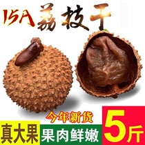 New arrival 15A dried lychees 500g bagged large grain core small meat thick Fujian Putian dried lychees glutinous rice glutinous rice cinnamon flavor