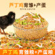 Universal rutin feed chicken pellets grain ໂພຊະນາການອາຫານປະຈໍາວັນ rutin ເມັດໄກ່ rutin ອາຫານພິເສດໄກ່
