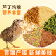 Universal rutin feed chicken pellets grain ໂພຊະນາການອາຫານປະຈໍາວັນ rutin ເມັດໄກ່ rutin ອາຫານພິເສດໄກ່