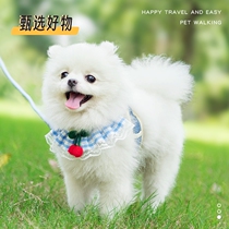 Dog leash cute harness cat leash Teddy small dog leash pet supplies dog leash direct sales