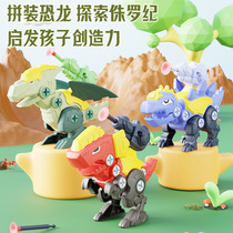 Assembling Dinosaur Toy Disassembly Set