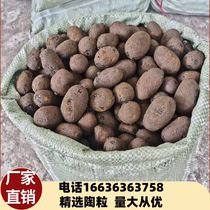 Zhejiang ceramsite bottom flower cultivation special succulent nutrient soil flower pot backfill fish tank hydroponic paving particles