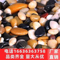 Anhui Rain Flowers Stones Original Stone Natural Goose Pebble Multi-Meat Paving Fish Bowl Decorated Flowers Potted Plant Five Colored Small Stones
