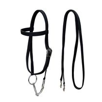 Strengthened double-layer water rein set horse bit bit fork horse control horse riding horse riding