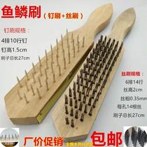 Planing fish scale manual scraping of fish scale brush brushing to remove fishing scallops Phosphorus Tools Rust Brush Kill Fish Brush Scalemaker Household