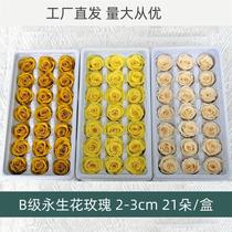 Everlasting flower box diy glass cover car hanging AA grade 2cm export grade 21 domestic small roses