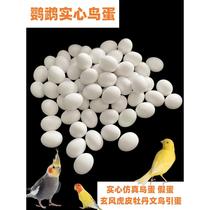 Parrot Fake Egg Bird Parrot Emulation Solid Egg White Bird Tiger Leather Peony Root Anchovebirds Egg Guide Egg 10