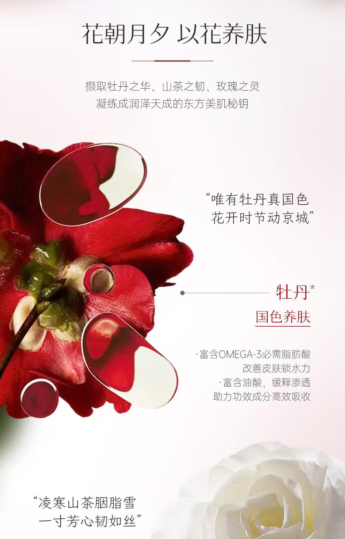 【中國直郵】 萬紫千紅 高保濕 滋潤 乳霜 30g/瓶 老牌國貨