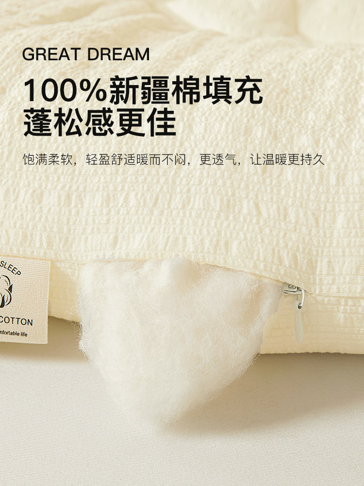 Muji 2025 New Xinjiang Cotton Quilt Winter Quilt Double Pure Cotton Filling Spring and Autumn Quilt Cotton Quilt Core
