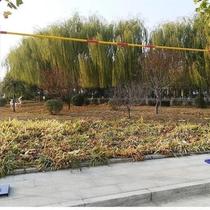 Aluminum alloy high jump frame adjustable lift mobile pulley professional school track and field sports training fiber crossbar