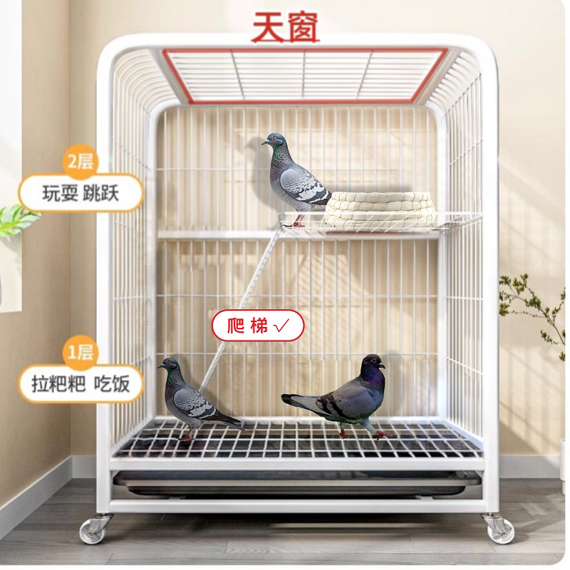 如何选择适合幼儿园使用的动物养殖笼？