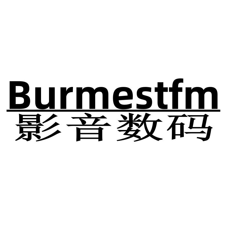 Burmestfm柏林之声数码店