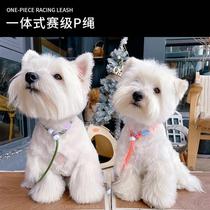 Dog leash P rope small dog training dog rope medium dog P chain dog training special puppy training rope competition grade dog rope