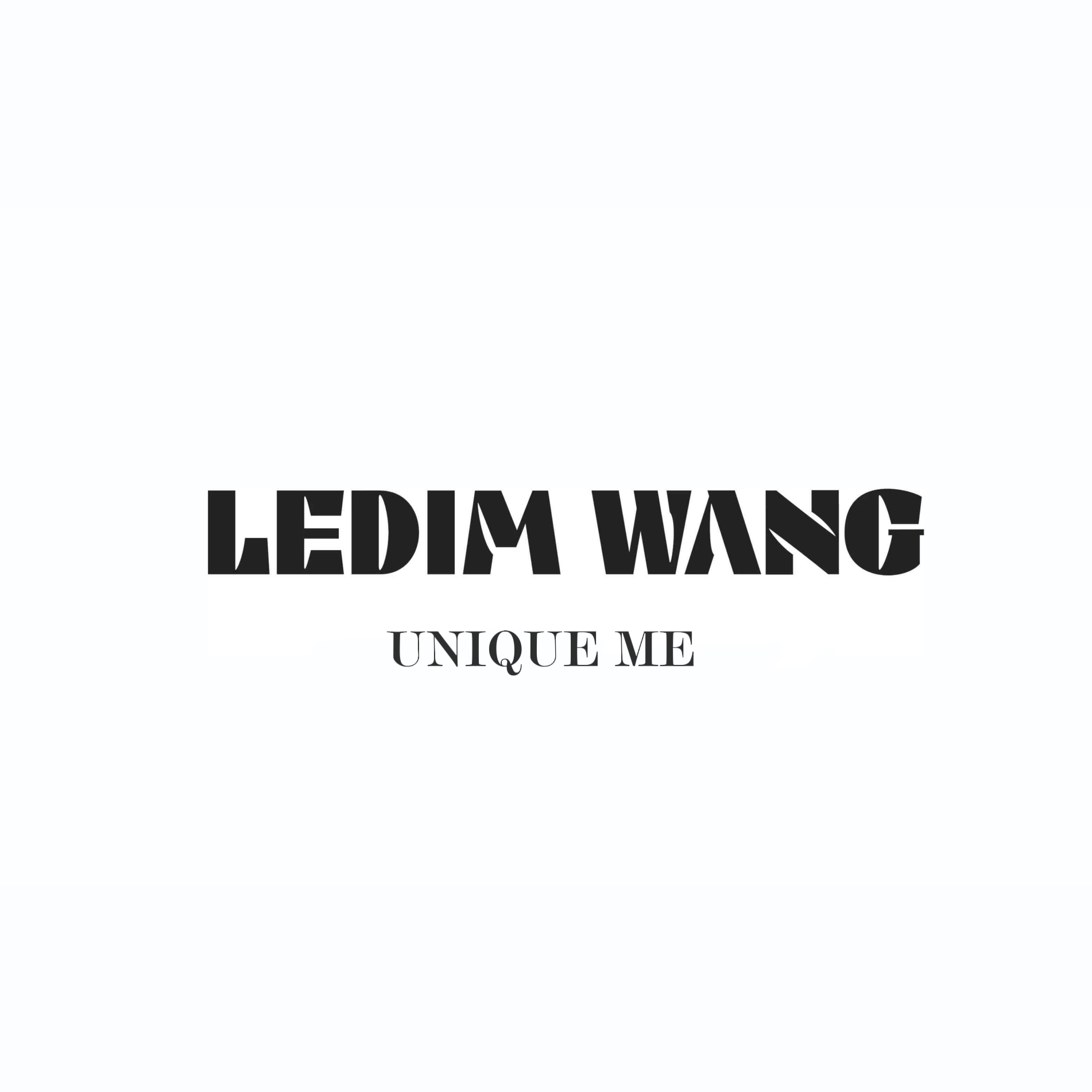 LEDIMWANG旗舰店