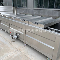 Lipu taro slices spinach broccoli electric heating steam heating cleaning blanching killing and color protection assembly line