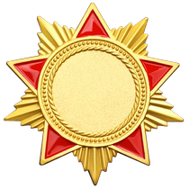 Badge customization metal medal of honor badge customization excellent employee school badge class emblem company logo brooch production
