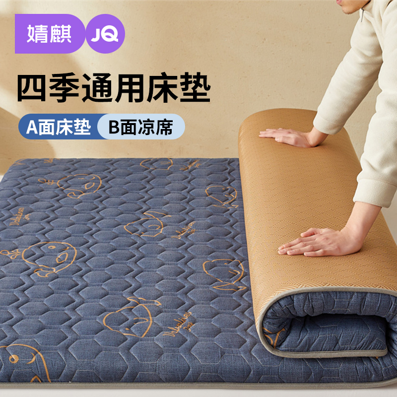 Jingqi Mattress and Cooling Mat Two-In-One, Double-Sided, Dual-Use for Winter and Summer, Foldable, for Home Bedroom, Student Dormitory, Single Mattress Jingqi Mattress and Cooling Mat Two-In-One, Double-Sided, Dual-Use for Winter and Summer, Foldable, for Home Bedroom, Student Dormitory, Single Mattress