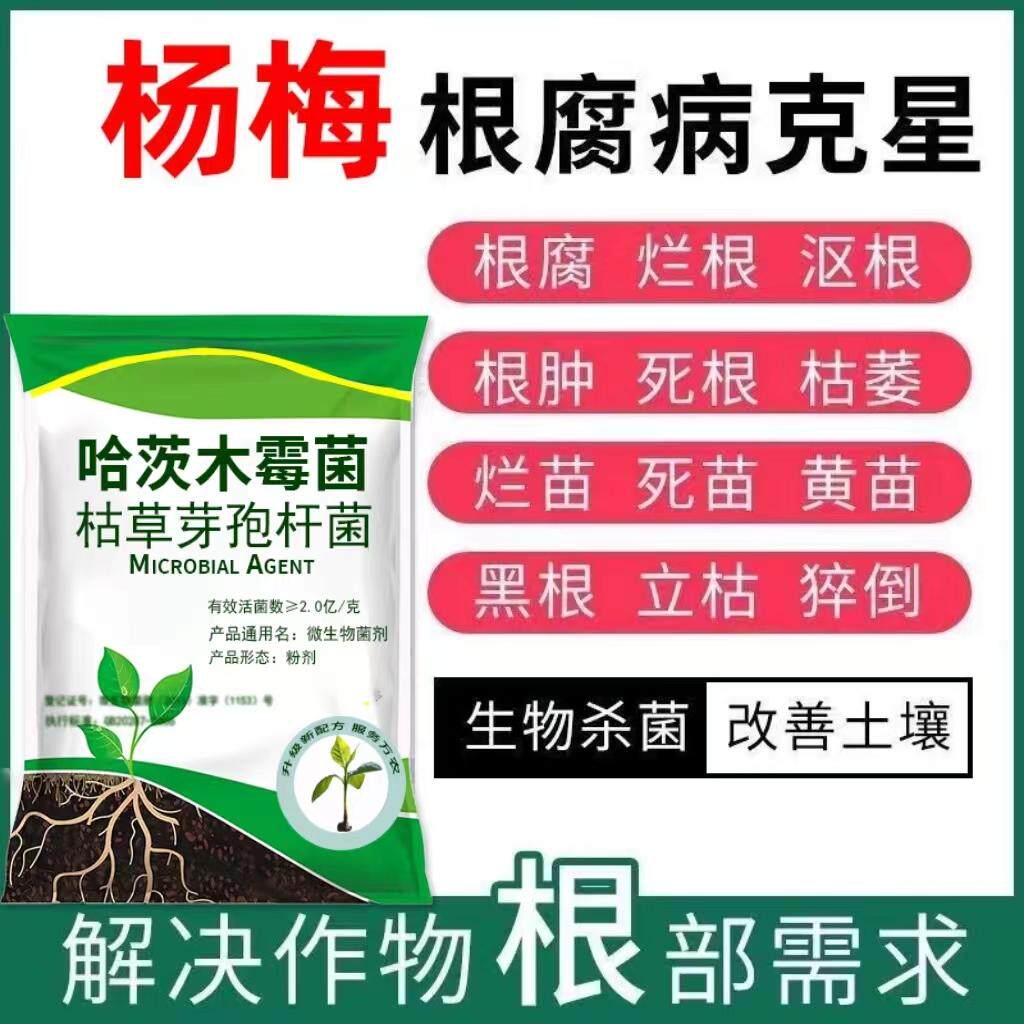 正品杨梅根腐药到底有多神奇？能治所有杨梅病害吗？-生物菌肥-淘宝好物网