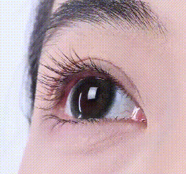 DM_20250911115055_011.gif