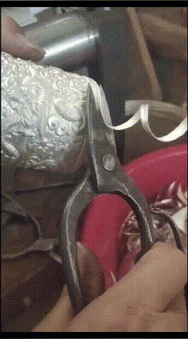 DM_20251017145427_016.gif