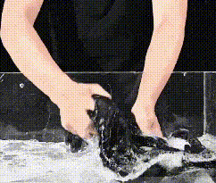 DM_20250717134757_014.gif