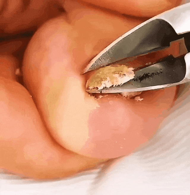 DM_20250609161213_006.gif