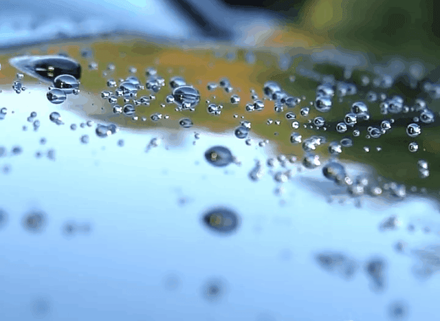 16.gif