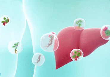 13.gif
