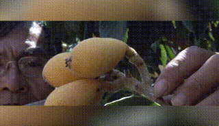 23.gif