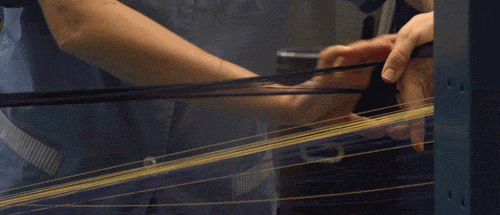 20251015_084324_030.gif