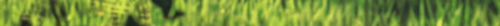 DM_20250513161745_008.png