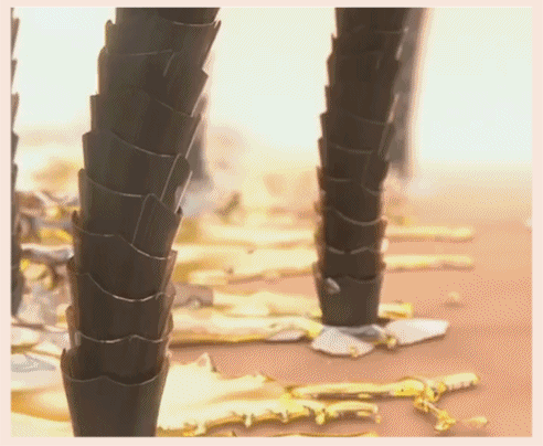 DM_20250927135118_020.gif