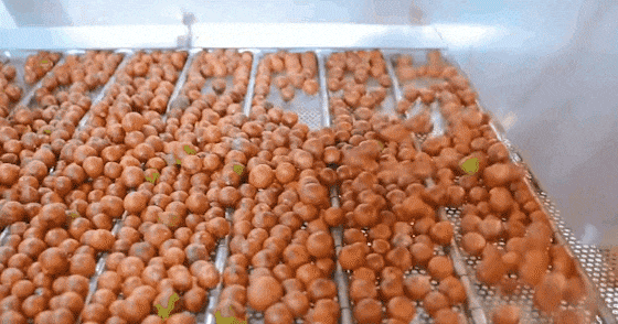 20250916_140825_048.gif