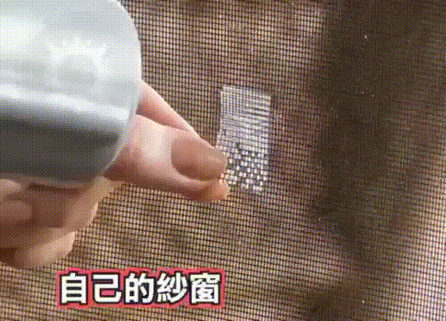 DM_20250723134259_003.gif