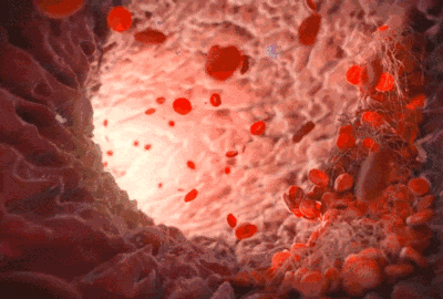 详情11.gif