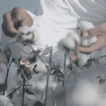 DM_20250714112326_003.gif