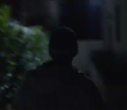 025.gif