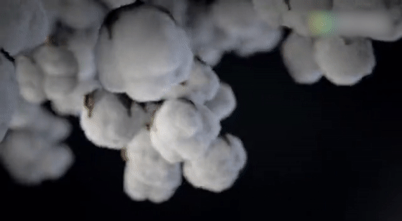20250917_151513_013.gif