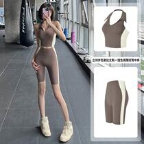 Ready in stock cross-border color matching yoga clothing suit womens halterneck quick-drying fitness underwear beautiful back bra running sports