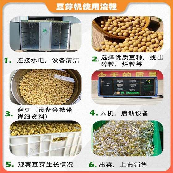 매일 50-300진의 콩나물을 생산하는 대형 상업용 완전 자동 지능형 콩나물 기계입니다.
