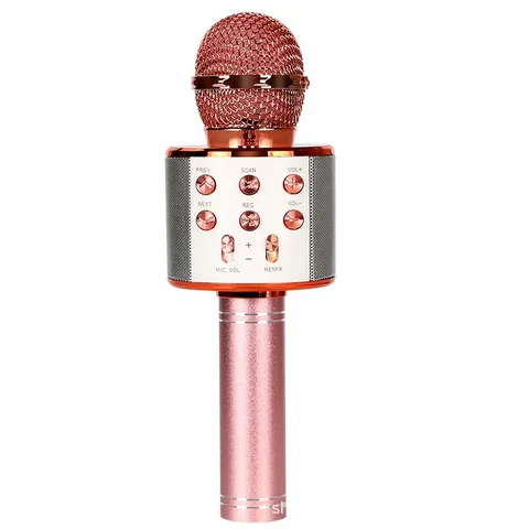 WS858 factory mobile phone k songbao spot KTV audio home microphone wireless microphone integrated bluetooth